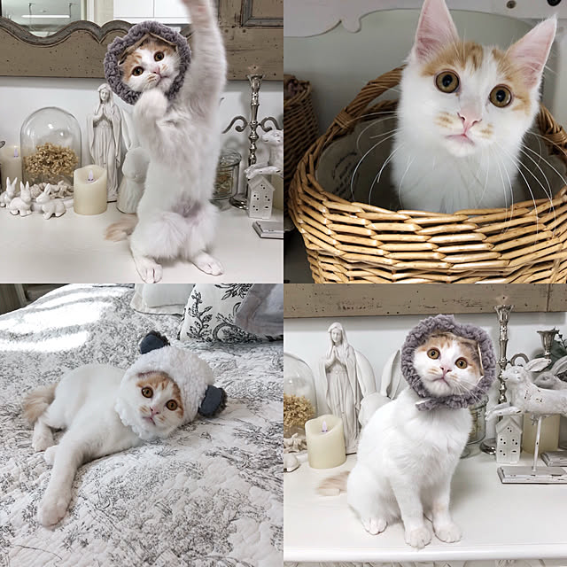 yuchiさんの実例写真