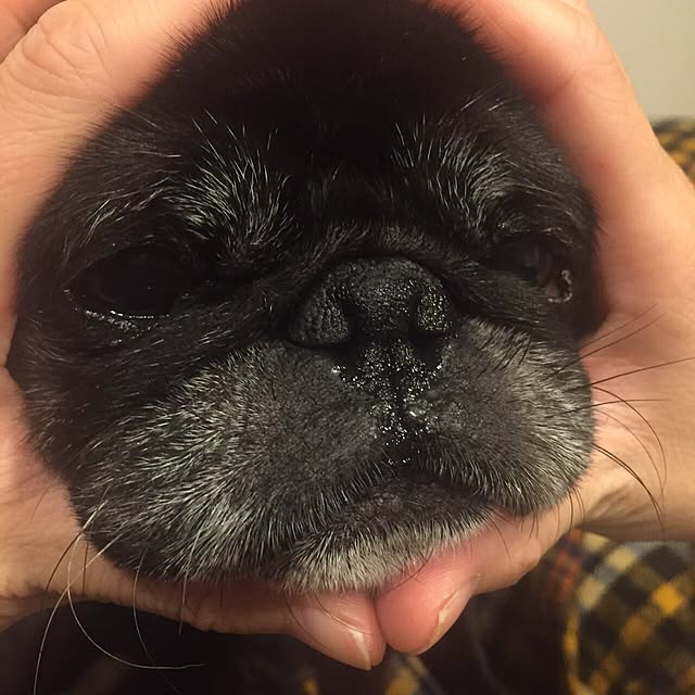 knk121さんの実例写真