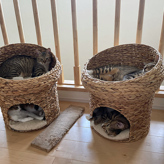 manekinekoさんの実例写真
