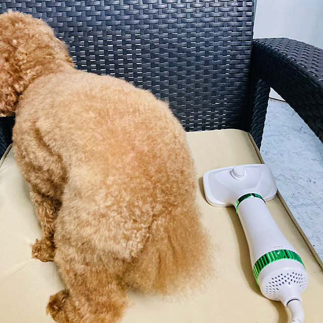 MOMOMAMAさんの部屋