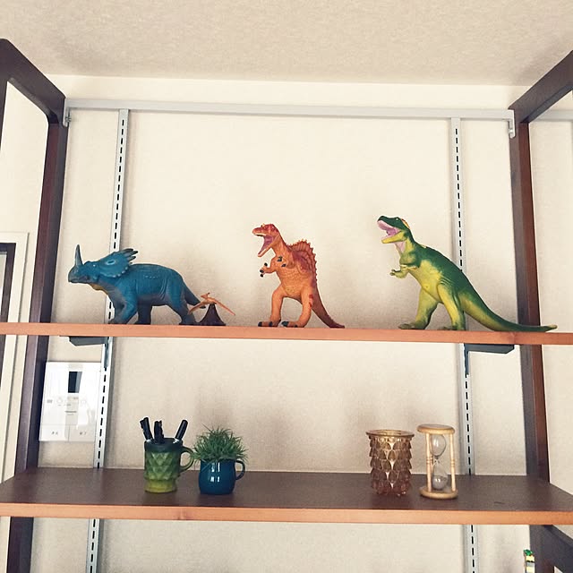 hakuさんの実例写真