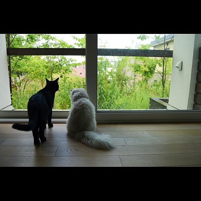 hirokinouさんの実例写真