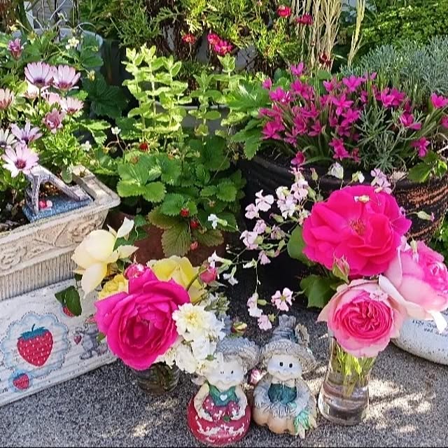 aiさんの部屋
