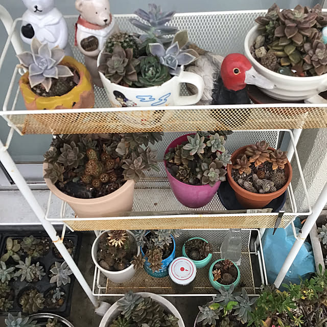 YUKIEさんの部屋
