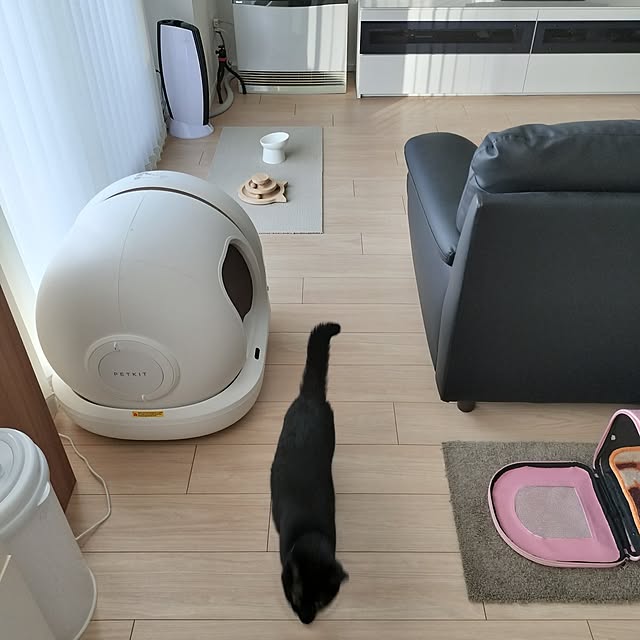 sakuraさんの部屋