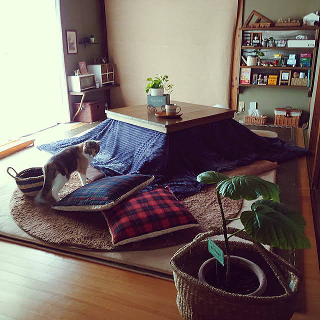 fukuさんの実例写真