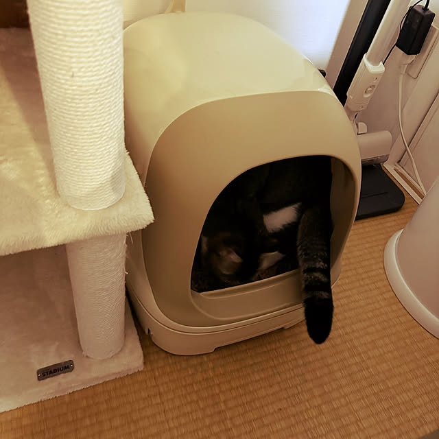Atelier.mさんの実例写真