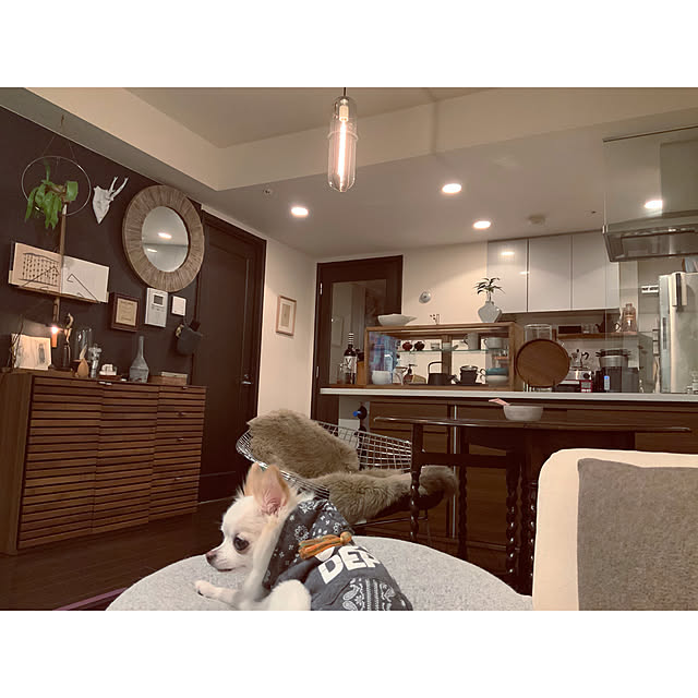 chapiさんの実例写真