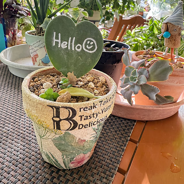 Aqettyさんの部屋