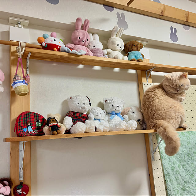 naokoさんの部屋