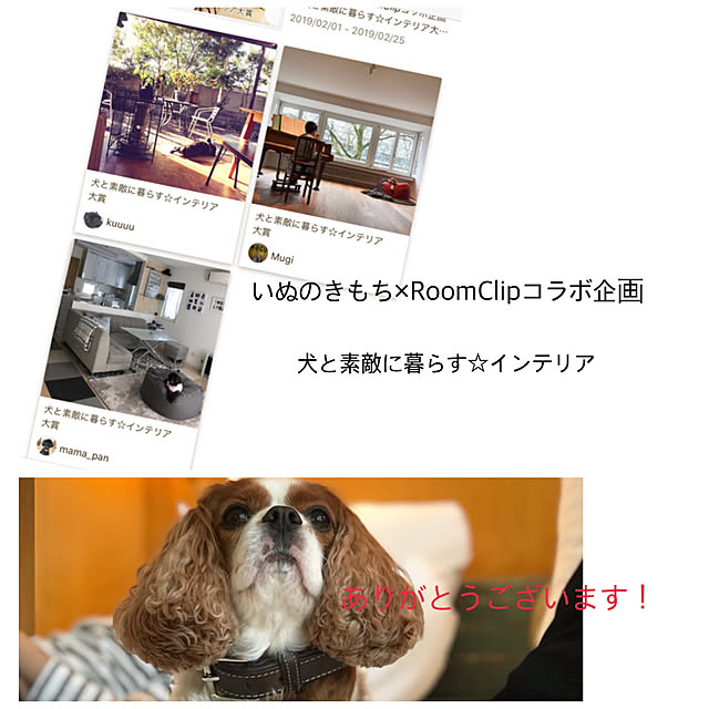 Mugiさんの実例写真