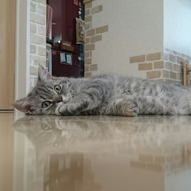 yumiさんの実例写真