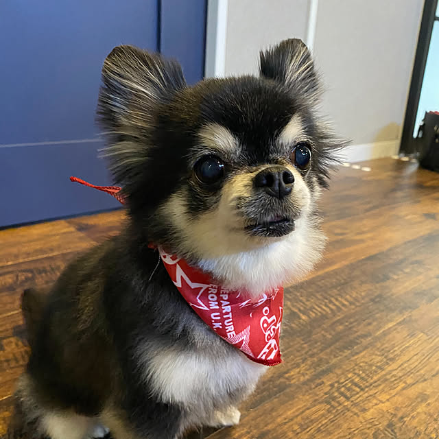 imosukeさんの実例写真