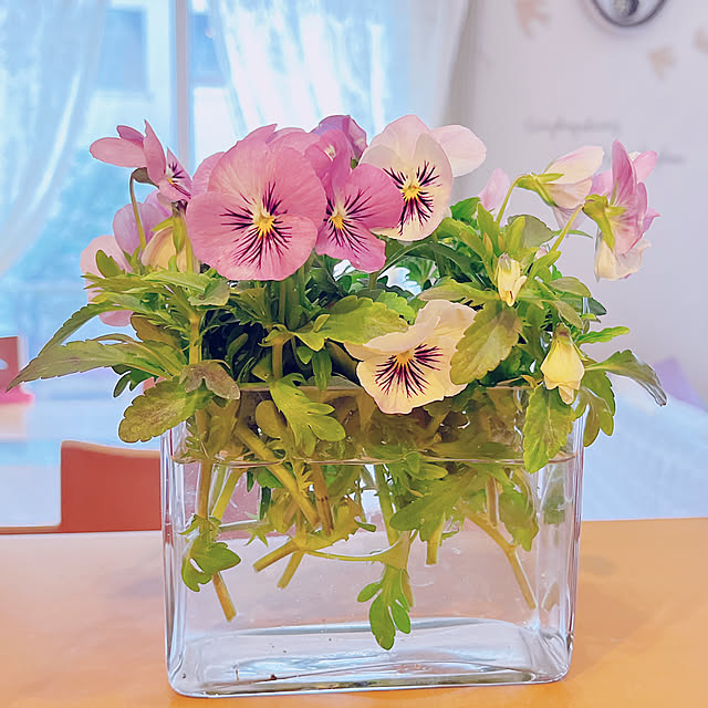 moolさんの部屋