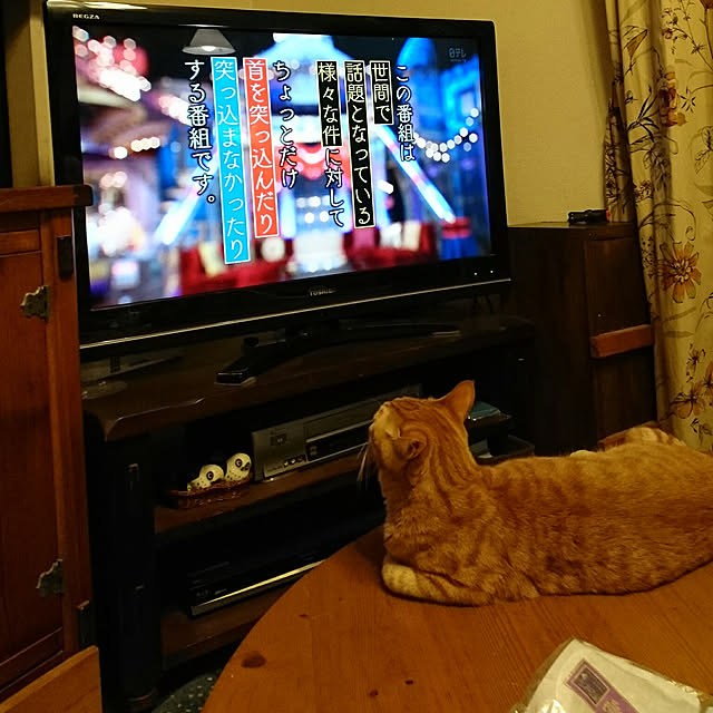 okyosan101さんの実例写真