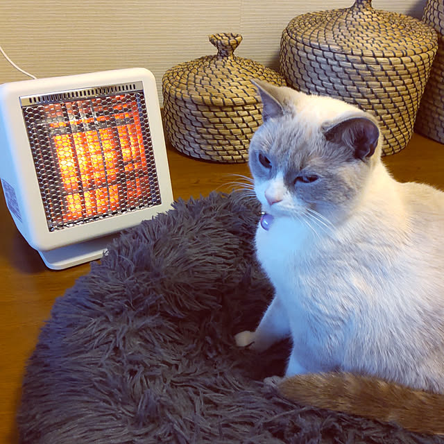 yukaringomushiさんの実例写真