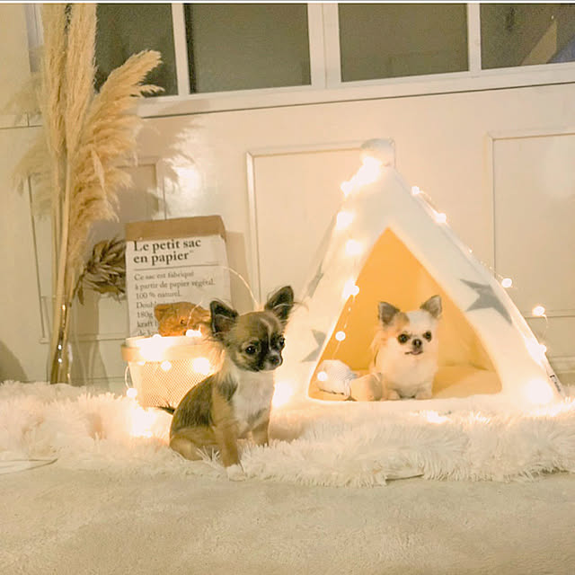 cocoさんの実例写真