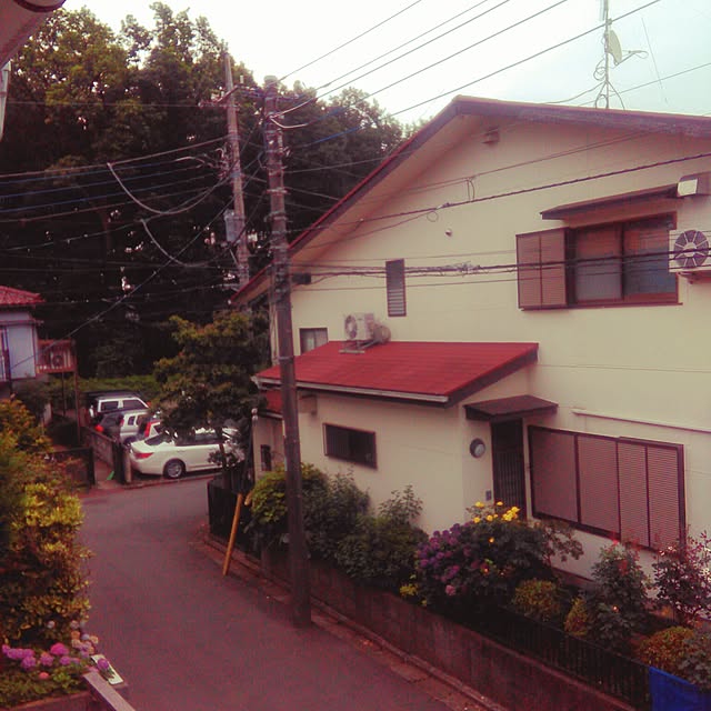 qpieさんの実例写真