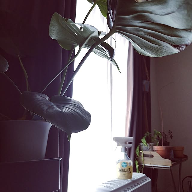 pinkoさんの実例写真