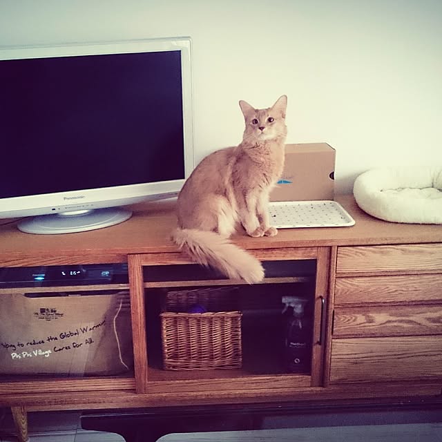 solaphinaさんの実例写真