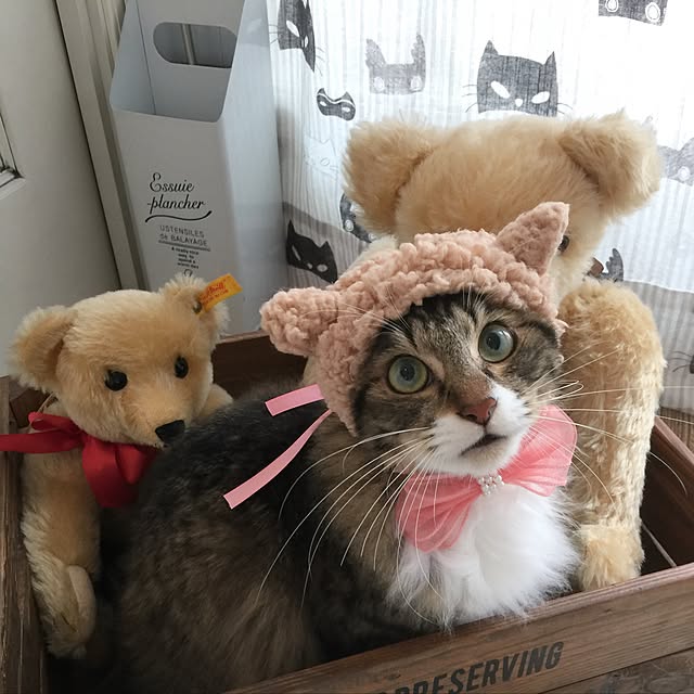 yuchiさんの実例写真