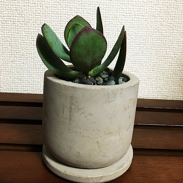 baroさんの実例写真