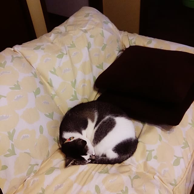 furlaさんの実例写真