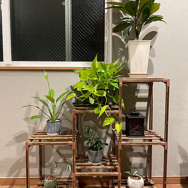 ikuzakさんの実例写真