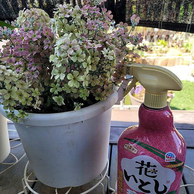 VIORAさんの実例写真
