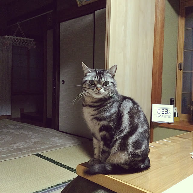 richanさんの実例写真