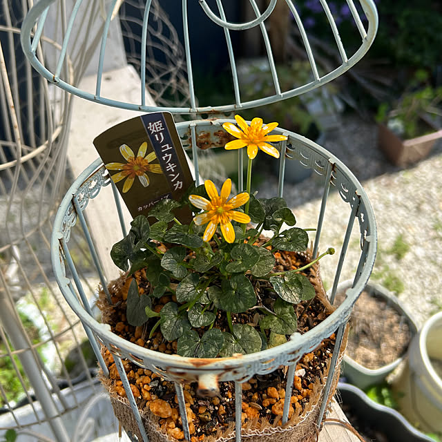 sukkorobiさんの部屋