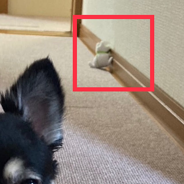 koroさんの部屋