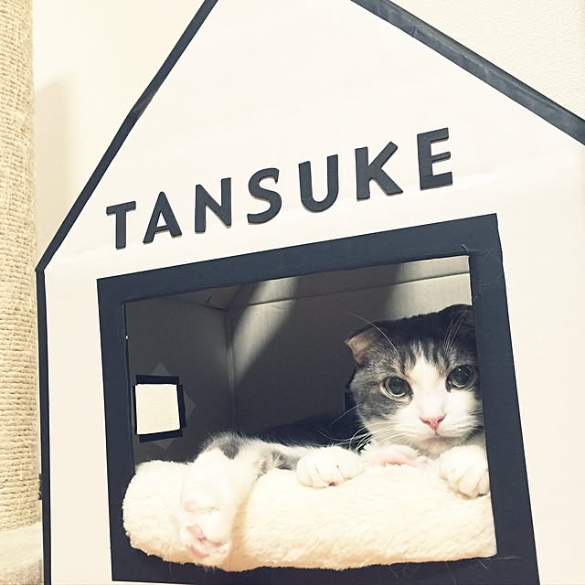 tansukeさんの実例写真