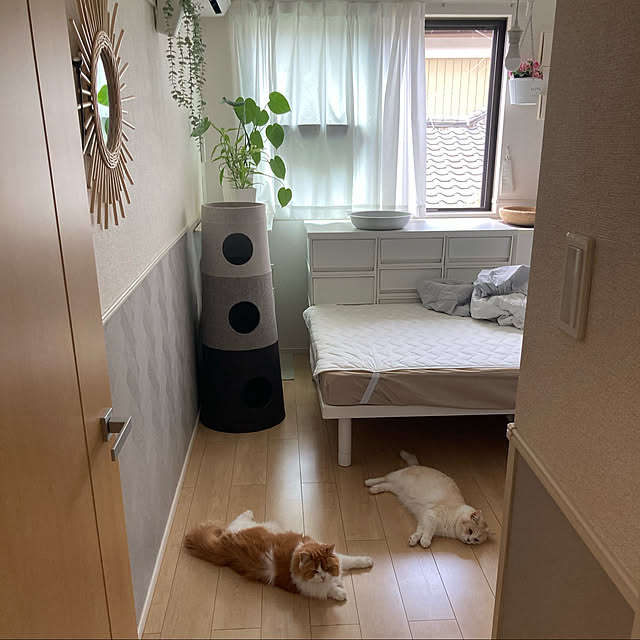 H.Tさんの実例写真