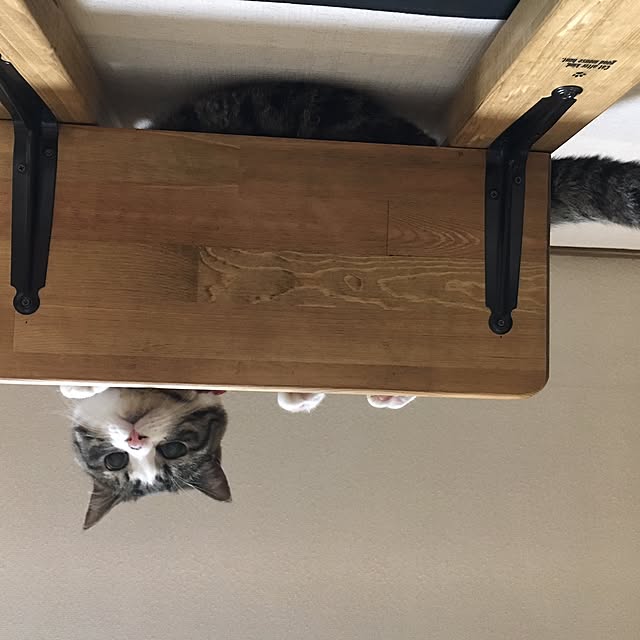Rumiさんの実例写真