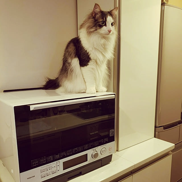mofさんの実例写真