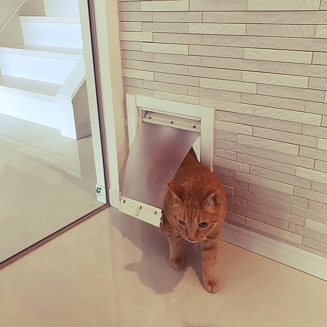 minakoさんの実例写真