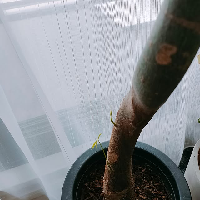 KEIKOさんの部屋