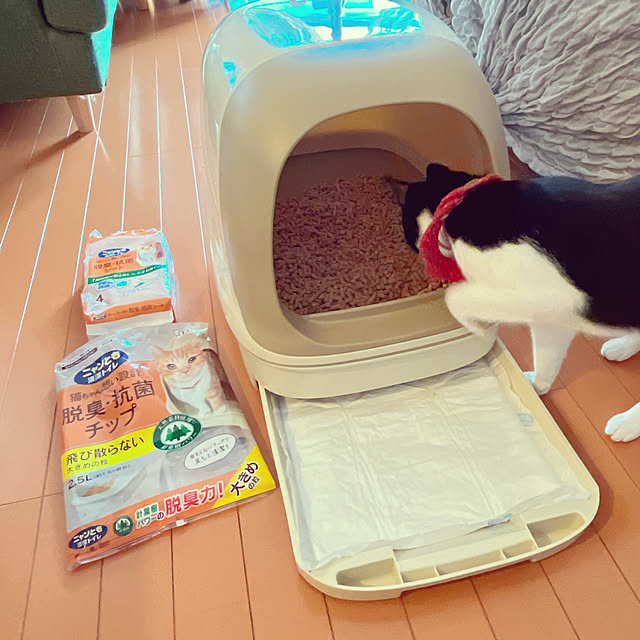 moolさんの部屋