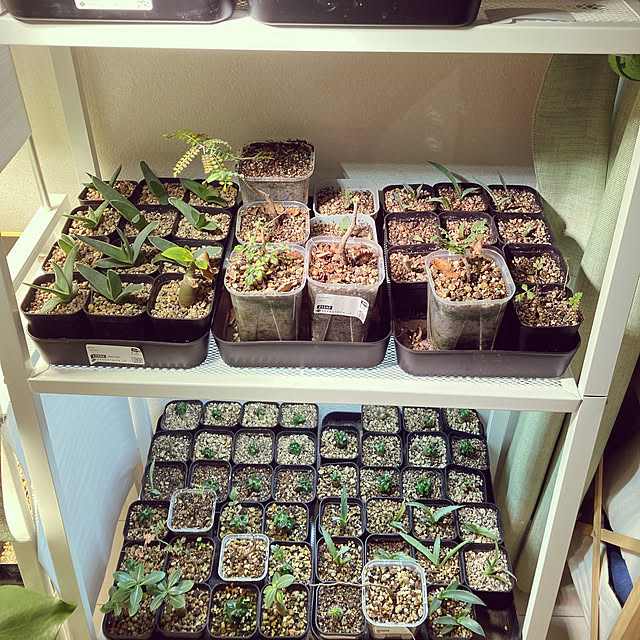 hitomi153さんの部屋