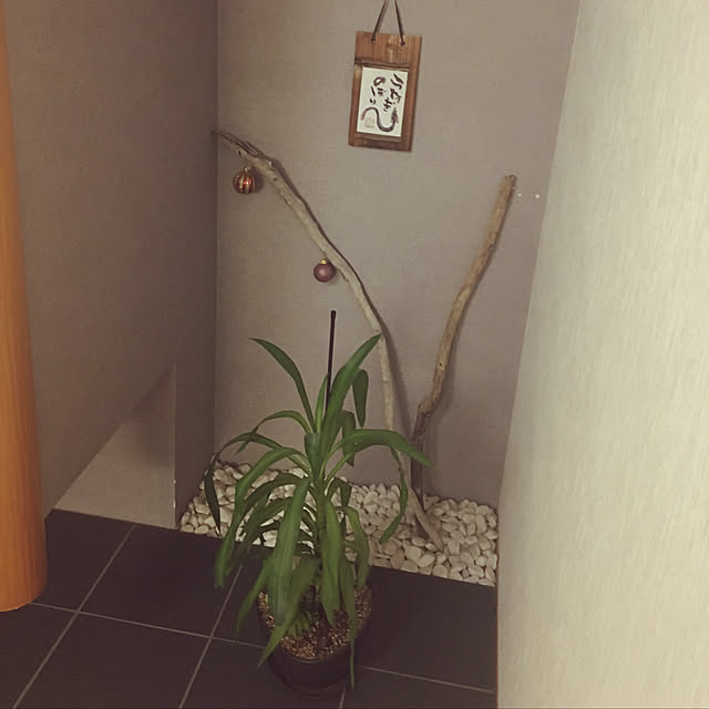 makoさんの実例写真