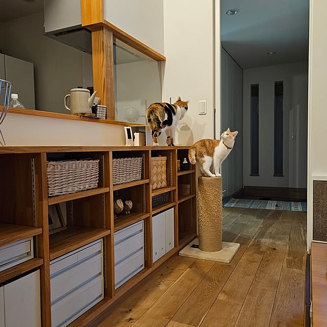 koyurizuさんの部屋