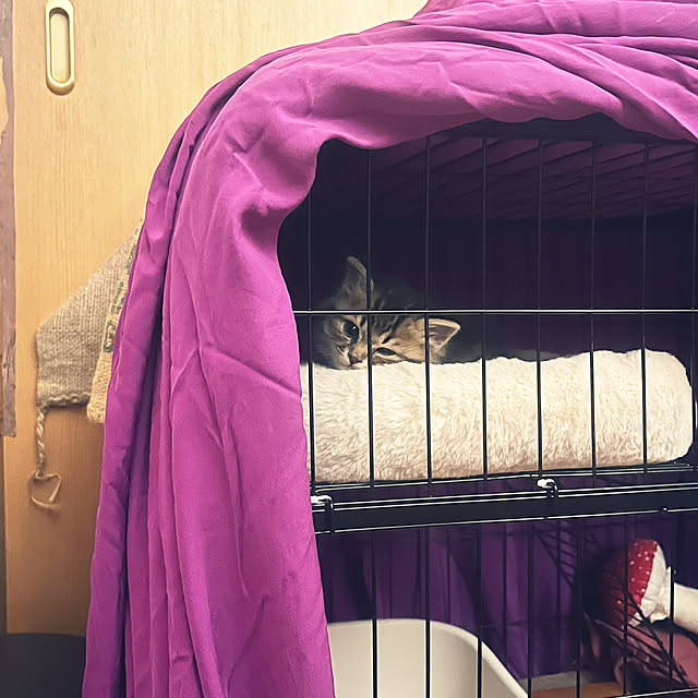 Mさんの実例写真