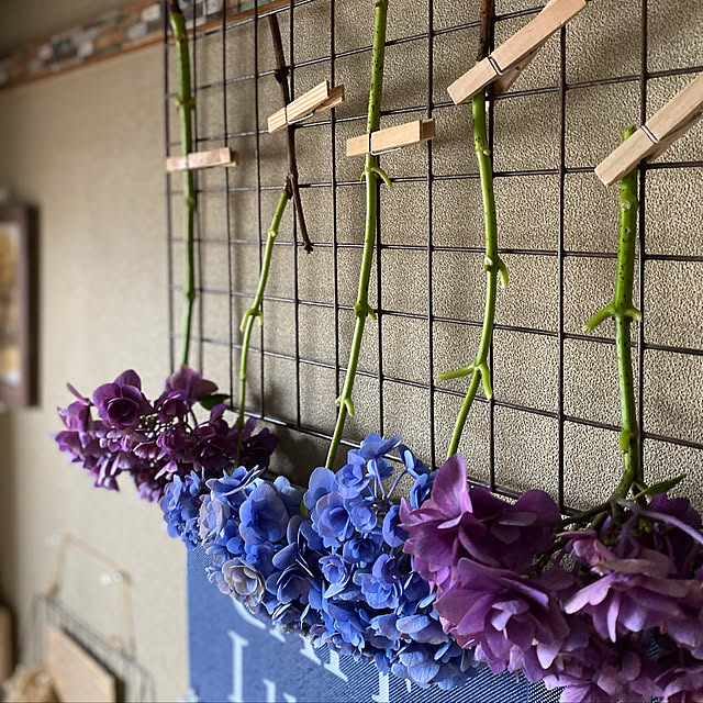 紫陽花ドライフラワー作りのおすすめ商品とおしゃれな実例 紫陽花ドライフラワー作りのおすすめ商品とおしゃれな実例