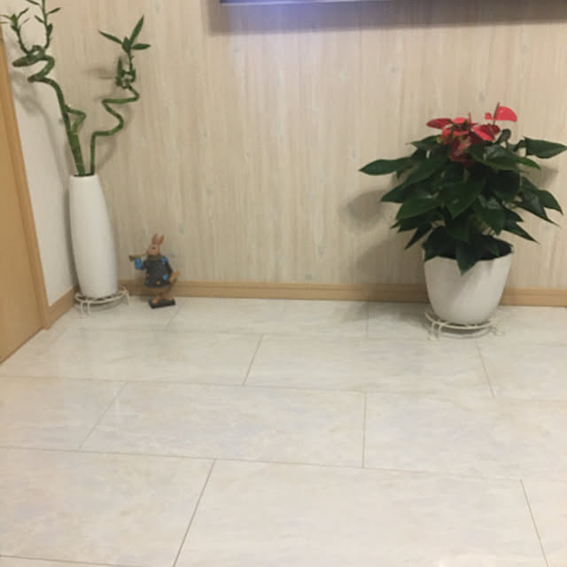 minsyaさんの実例写真