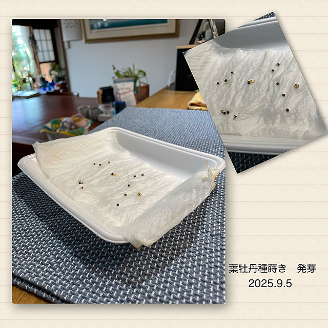 buchiさんの部屋