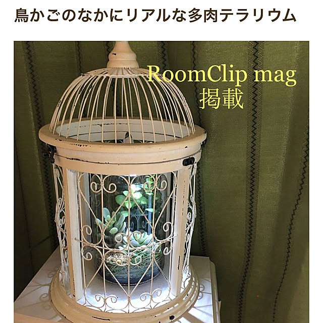 rinさんの実例写真