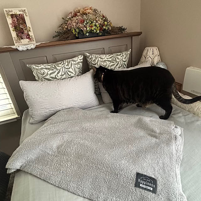 momocchiさんの実例写真