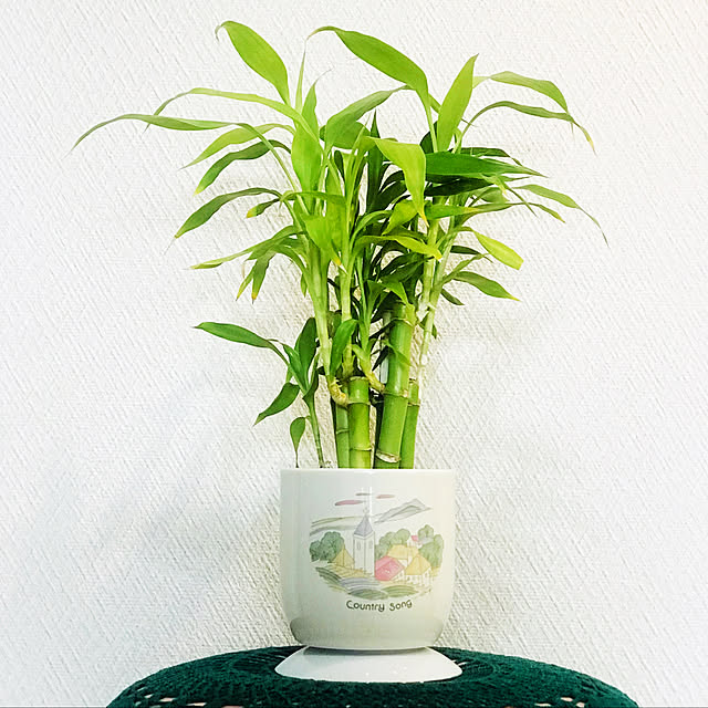 fuyiqian1026さんの実例写真
