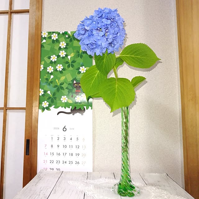 katさんの部屋
